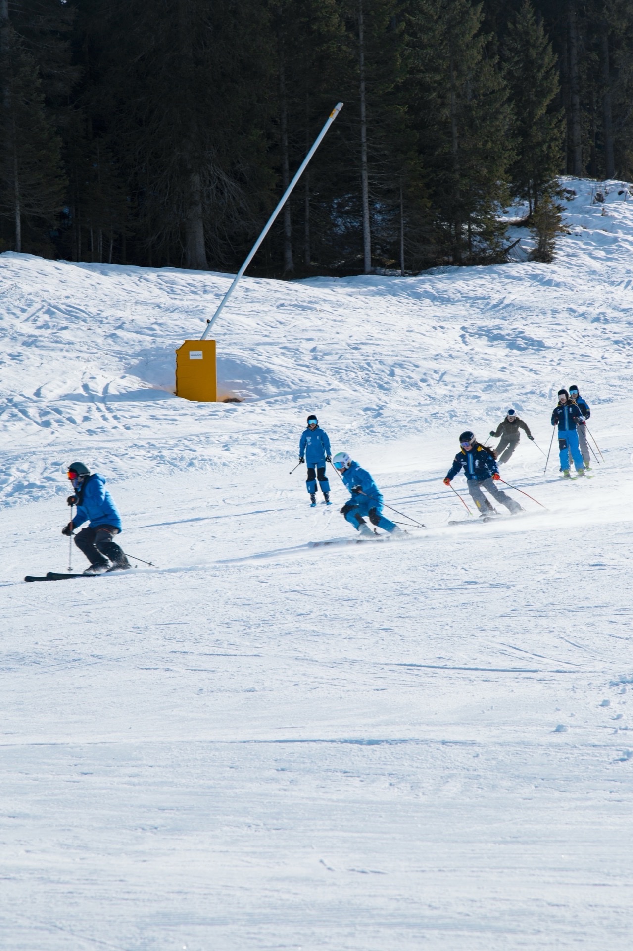 Fotografia scattata da Giacomo Corso a Madonna di Campiglio nell'anno 2025